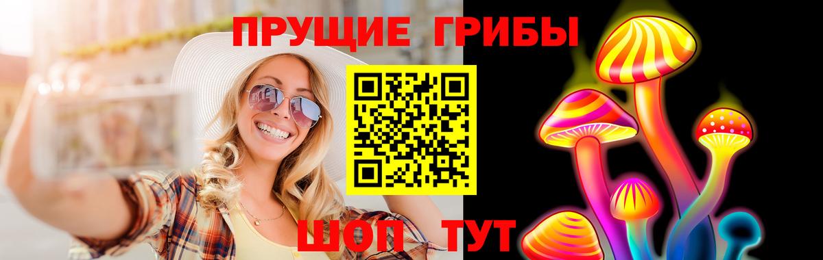 Псилоцибиновые грибы прущие грибы Пугачёв
